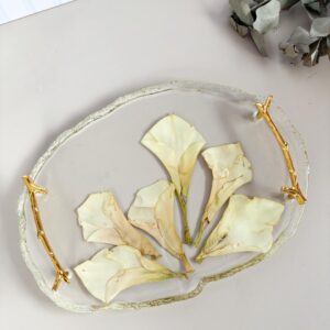 PHOTO-2026-02-13-00-58-32 2