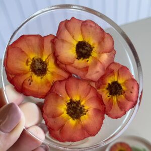 PHOTO-2026-02-13-01-04-54 2